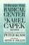 Cover of "Toward the Radical Center"