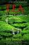 Cover of Brief History of Tea
