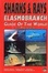Cover of "Sharks & Rays"