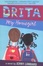 Cover of "Drita, My Homegirl"