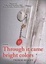 Cover of "Through It Came Bright Colors"