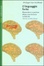 Cover of Il linguaggio ferito