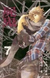 Cover of 屍鬼 7