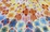 Cover of Polly Apfelbaum