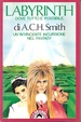 Cover of Labyrinth