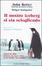 Cover of Il nostro iceberg si sta sciogliendo
