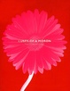 Cover of Lusts of a Moron
