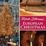 Cover of "Rick Steves' European Christmas"