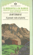 Cover of Il grande volto di pietra