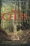 Cover of "A Brief History of the Celts"