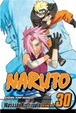 Cover of Naruto, Volume 30