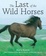 Cover of "The Last of the Wild Horses"