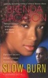 Cover of Slow Burn
