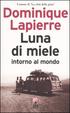 Cover of Luna di miele intorno al mondo