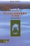 Cover of Adventures of Huckleberry Finn