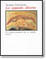 Cover of Lo sguardo diverso