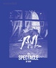 Cover of Waterfall: The Spectacle of Now