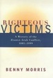 Cover of Righteous Victims