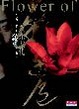 Cover of 繁花