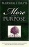 Cover of More Than A Purpose, An Evangelical Response to Rick Warren and the Megachurch Movement