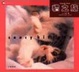 Cover of 貓之旅
