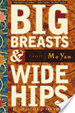 Cover of Big Breasts and Wide Hips