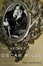 Cover of 'The Secret Life of Oscar Wilde'