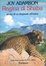 Cover of regina di Shaba