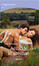 Cover of Accadde in autunno