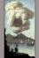 Cover of The Volcano Lover