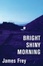 Cover of "Bright Shiny Morning"