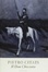 Cover of Don Chisciotte