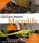 Cover of A Diver's Guide to Underwater Malaysia Macrolife