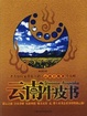 Cover of 云南牛皮书