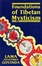 Cover of Foundations of Tibetan Mysticism
