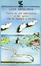 Cover of Storia di una gabbianella e del gatto che le insegnò a volare