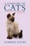 Cover of A Comfort of Cats