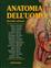 Cover of Anatomia dell'uomo