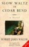 Cover of "Slow Waltz in Cedar Bend"