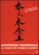 Cover of Agopuntura tradizionale