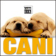 Cover of Cani