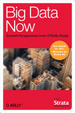 Cover of Big Data Now