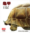 龜甲