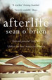 Cover of Afterlife