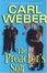 Cover of "The Preacher's Son"