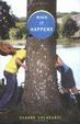 Cover of When It Happens