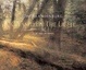 Cover of Chased By The Light