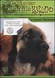 Cover of Un Leonberger di nome Bruno ovvero cosa non si fa per un biscotto