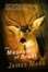 Cover of The Museum of Doubt