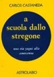 Cover of A scuola dallo stregone
